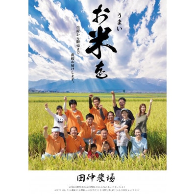 【令和7年産】茨城県産 にじのきらめき 10kg(5kg×2袋)