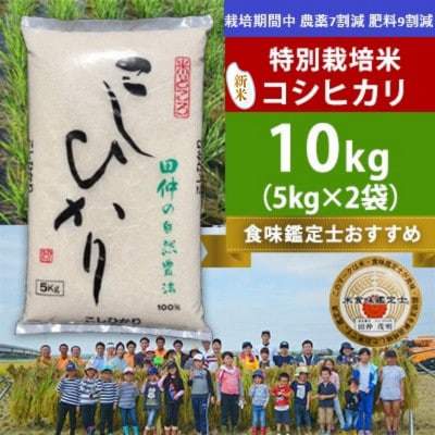 新米【令和8年産】特別栽培米 田仲のこしひかり(精米)10kg(5kg×2袋)　茨城県 稲敷市
