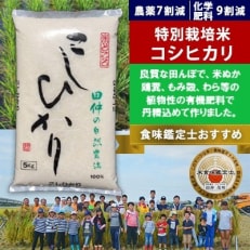 2023年5月発送開始『定期便』特別栽培米　田仲のこしひかり10kg(5kg×2袋)全6回 | ふるさと納税のお礼品