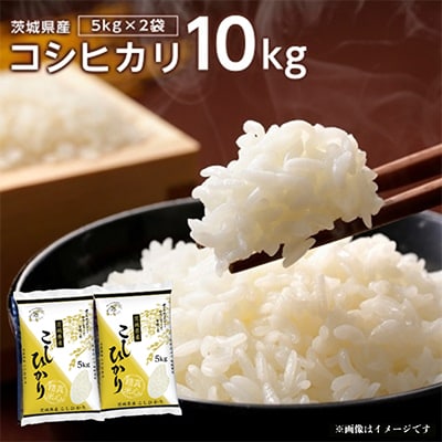 【令和7年産】代表的なお米　茨城県産コシヒカリ10kg