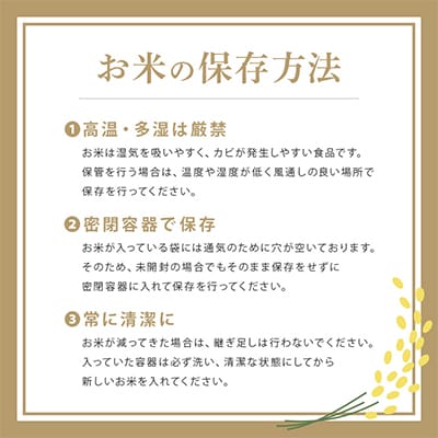 【令和7年産】茨城県稲敷市産あきたこまち10kg(5kg×2袋)