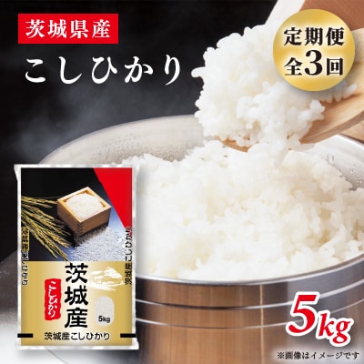 【毎月定期便】代表的なお米　茨城県産コシヒカリ5kg全3回