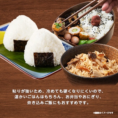 2023年6月発送開始『定期便』ミルキークイーンのふるさと稲敷市産　ミルキークイーン10kg全3回