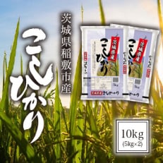 【令和5年産】茨城県稲敷市産こしひかり10kg(5kg×2) | ふるさと納税のお礼品