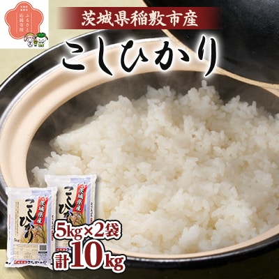 【令和6年産】茨城県稲敷市産こしひかり10kg(5kg×2)