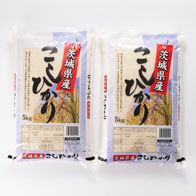 【令和6年産】茨城県稲敷市産こしひかり10kg(5kg×2)