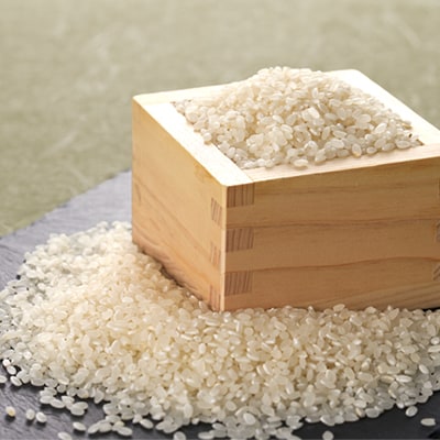 【令和6年産】茨城県稲敷市産あきたこまち10kg(5kg×2)