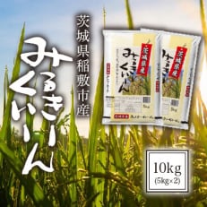 【令和5年産】茨城県稲敷市産ミルキークイーン10kg(5kg&times;2)