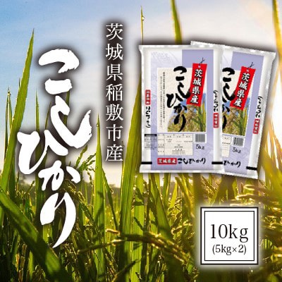 【毎月定期便】茨城県稲敷市産コシヒカリ10kg(5kg×2)全3回