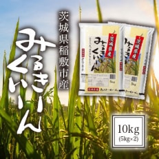 【毎月定期便】茨城県稲敷市産ミルキークイーン10kg(5kg&times;2)全3回