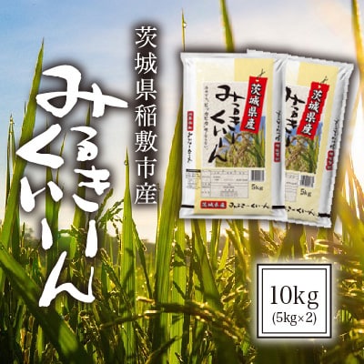 【毎月定期便】茨城県稲敷市産ミルキークイーン10kg(5kg×2)全3回