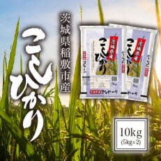 【毎月定期便】茨城県稲敷市産コシヒカリ10kg(5kg&times;2)全3回