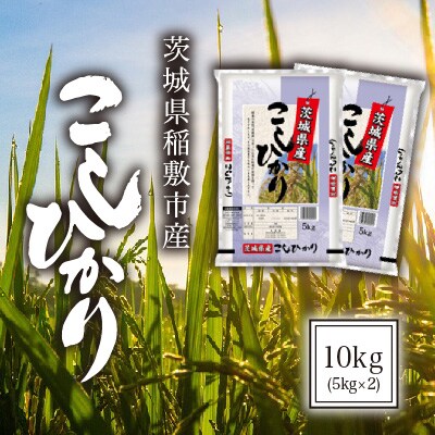 【毎月定期便】茨城県稲敷市産コシヒカリ10kg(5kg×2)全3回