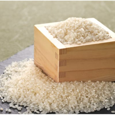 【毎月定期便】茨城県稲敷市産あきたこまち10kg(5kg×2) 全3回