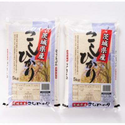 【毎月定期便】茨城県稲敷市産こしひかり10kg(5kg×2) 全3回