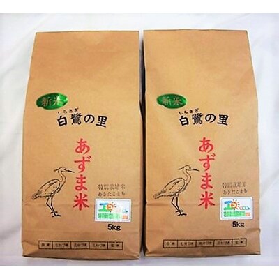 【令和5年産】稲敷産特別栽培あきたこまち白米 10kg