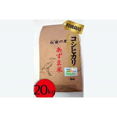 【令和7年産】特別栽培コシヒカリ20kg(5kg×4袋)　精米