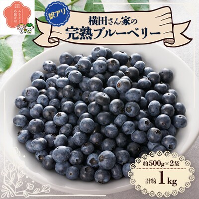 横田さん家の訳アリ完熟ブルーベリー　500g×2パック