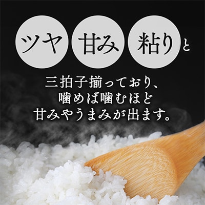 【令和5年産】稲敷産こしひかり10㎏(5㎏×2袋)