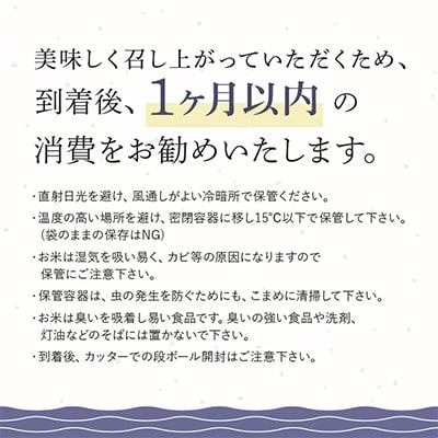 【令和5年産】稲敷産こしひかり10㎏(5㎏×2袋)