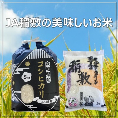 【令和5年産】稲敷のお米食べ比べセット(コシヒカリ5kg、ミルキークイーン2kg)