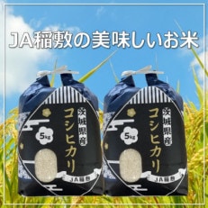 【令和4年産】コシヒカリ精米10kg | ふるさと納税のお礼品