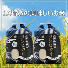 【令和5年産】コシヒカリ精米10kg(コシヒカリ5kg&times;2)