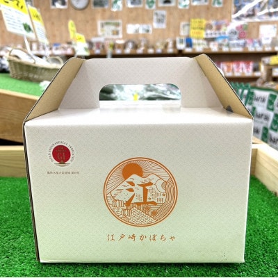 江戸崎かぼちゃ　化粧箱1個入