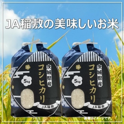 【令和7年産】コシヒカリ白米10kg(5kg×2袋)
