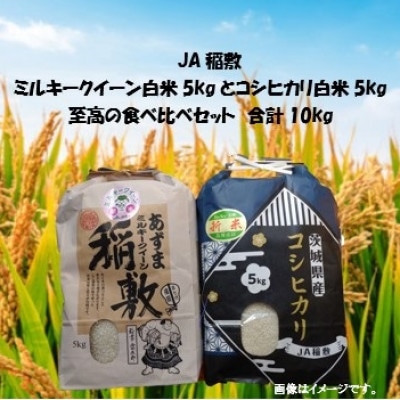 【令和7年産】ミルキークイーン・コシヒカリ食べ比べセット白米10kg(5kg×各1袋)至高の食べ比べ