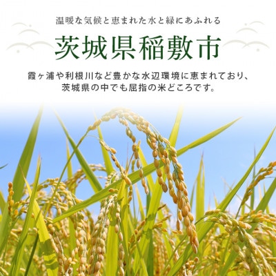 【令和6年産】茨城県認証　特別栽培米ミルキークイーン10kg(5kg×2袋)