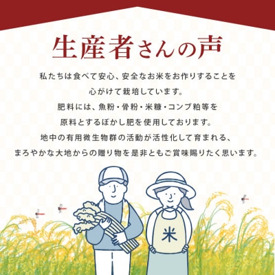 【令和6年産】茨城県認証　特別栽培米ミルキークイーン10kg(5kg×2袋)