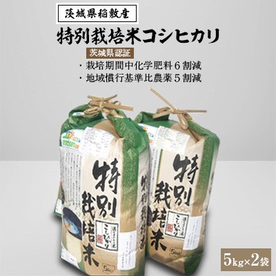 2022年10月発送開始『定期便』【令和4年産】特別栽培米コシヒカリ5kg×2袋 全6回