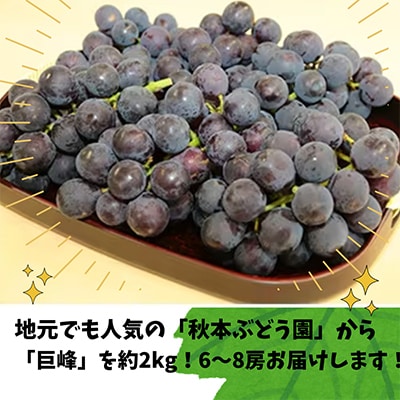 【茨城県稲敷市産】秋本ぶどう園直送　巨峰詰合せ約2kg