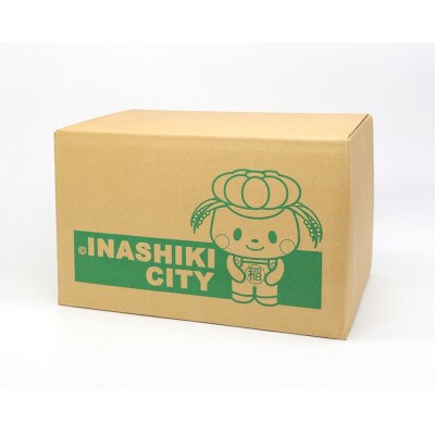 ネスカフェ アイスブレンド ポーション 甘さひかえめ 18個×12袋(合計216杯分)