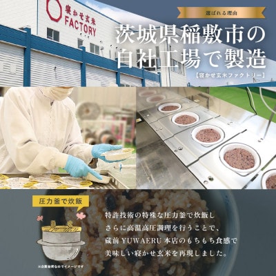 寝かせ玄米ごはんパック　小豆ブレンド 【160g×24食】