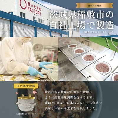 寝かせ玄米ごはんパック　4種ミックス 【160g×12食】