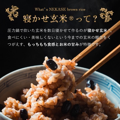 寝かせ玄米ごはんパック　4種ミックス 【160g×6食】