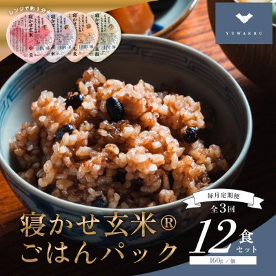【毎月定期便】寝かせ玄米ごはんパック4種ミックス 【160g×12食】全3回