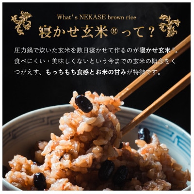 【毎月定期便】寝かせ玄米ごはんパック4種ミックス 【160g×12食】全3回