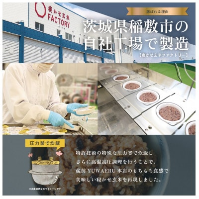 【2ヵ月毎定期便】寝かせ玄米ごはんパック4種ミックス 【160g×12食】全3回