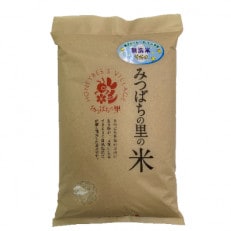 【新米・令和5年産】稲敷産みつばちの里の米「コシヒカリ」無洗米10kg(5kg×2p)