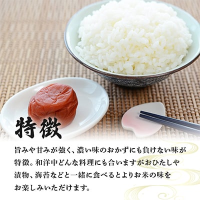【令和5年産】稲敷市産「コシヒカリ」無洗米10kg(5kg×2p)