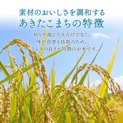 【令和8年産】稲敷市産「あきたこまち」無洗米10kg(5kg×2p)