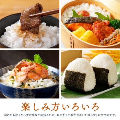 【令和8年産】稲敷市産「ひとめぼれ」無洗米10kg(5kg×2p)