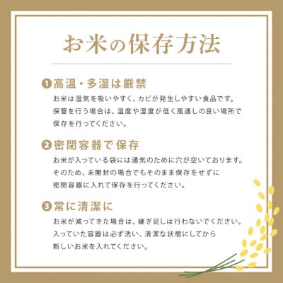 【令和8年産】稲敷市産「にじのきらめき」無洗米10kg(5kg×2p)