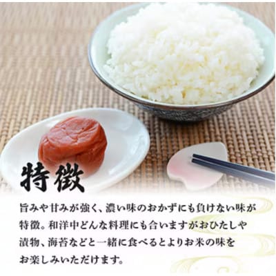 【令和7年産】稲敷市産「つきあかり」無洗米10kg(5kg×2p)