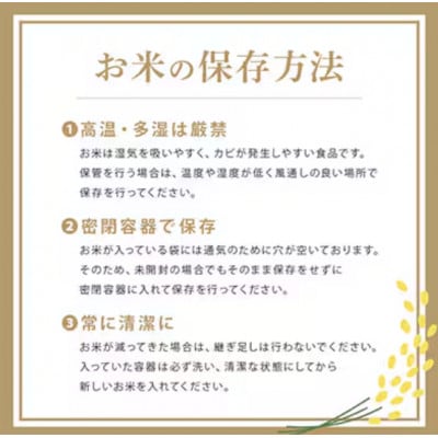 【令和7年産】稲敷市産「つきあかり」無洗米10kg(5kg×2p)