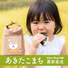 【令和4年産・自家栽培・自家精米で直送】稲敷市産あきたこまち20kg(5kg×4) | ふるさと納税のお礼品