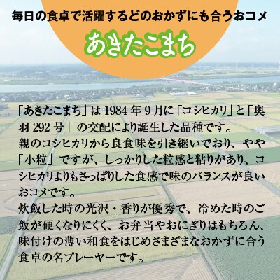 【令和4年産・自家栽培・自家精米で直送】稲敷市産あきたこまち20kg(5kg×4)